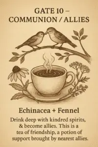 Sepia-toned parchment illustration of a steaming tea cup flanked by echinacea and fennel plants. Two songbirds perch on a branch above, touching beaks to symbolize kinship and sharing. Text describes Gate 10 as communion and fellowship, with Echinacea and Fennel tea as a potion of friendship and support.
